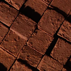 Cubes Cacao au Collagène