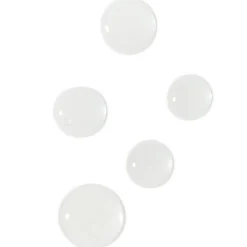Ectoin Repair Serum