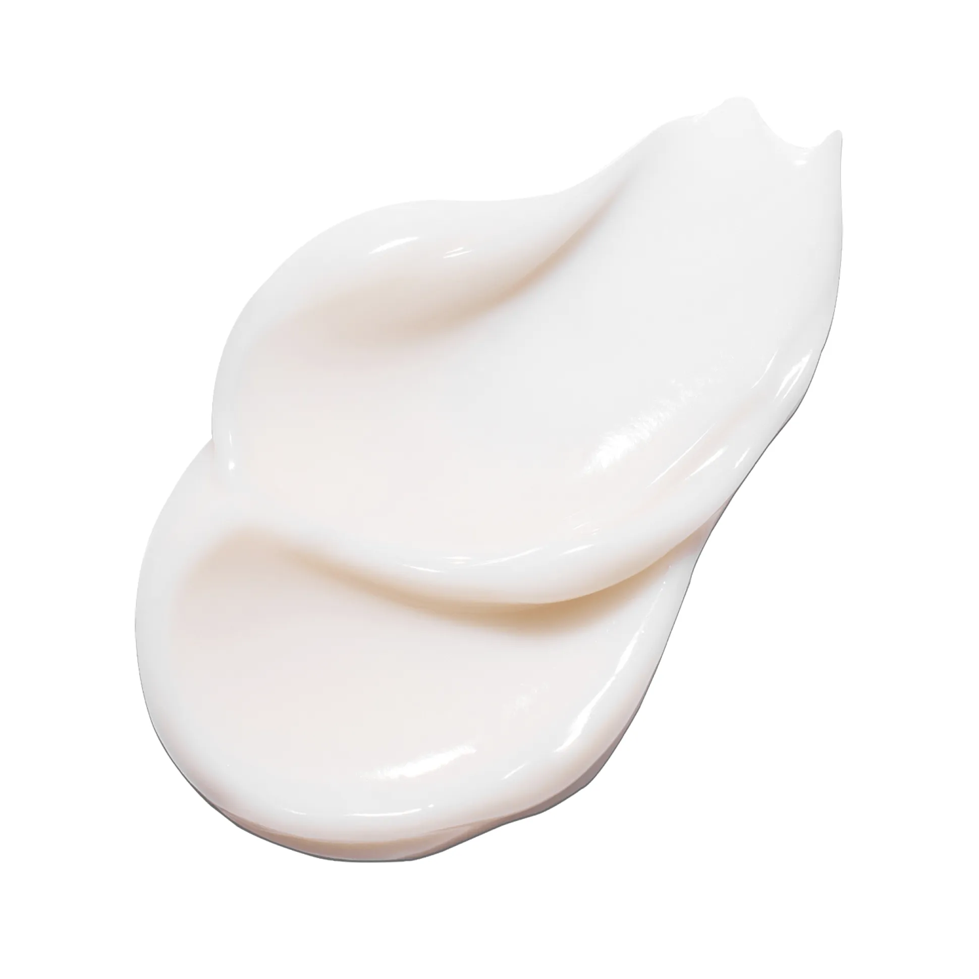 Green Tea Seed Hyaluronic Cream Crème Hydratante