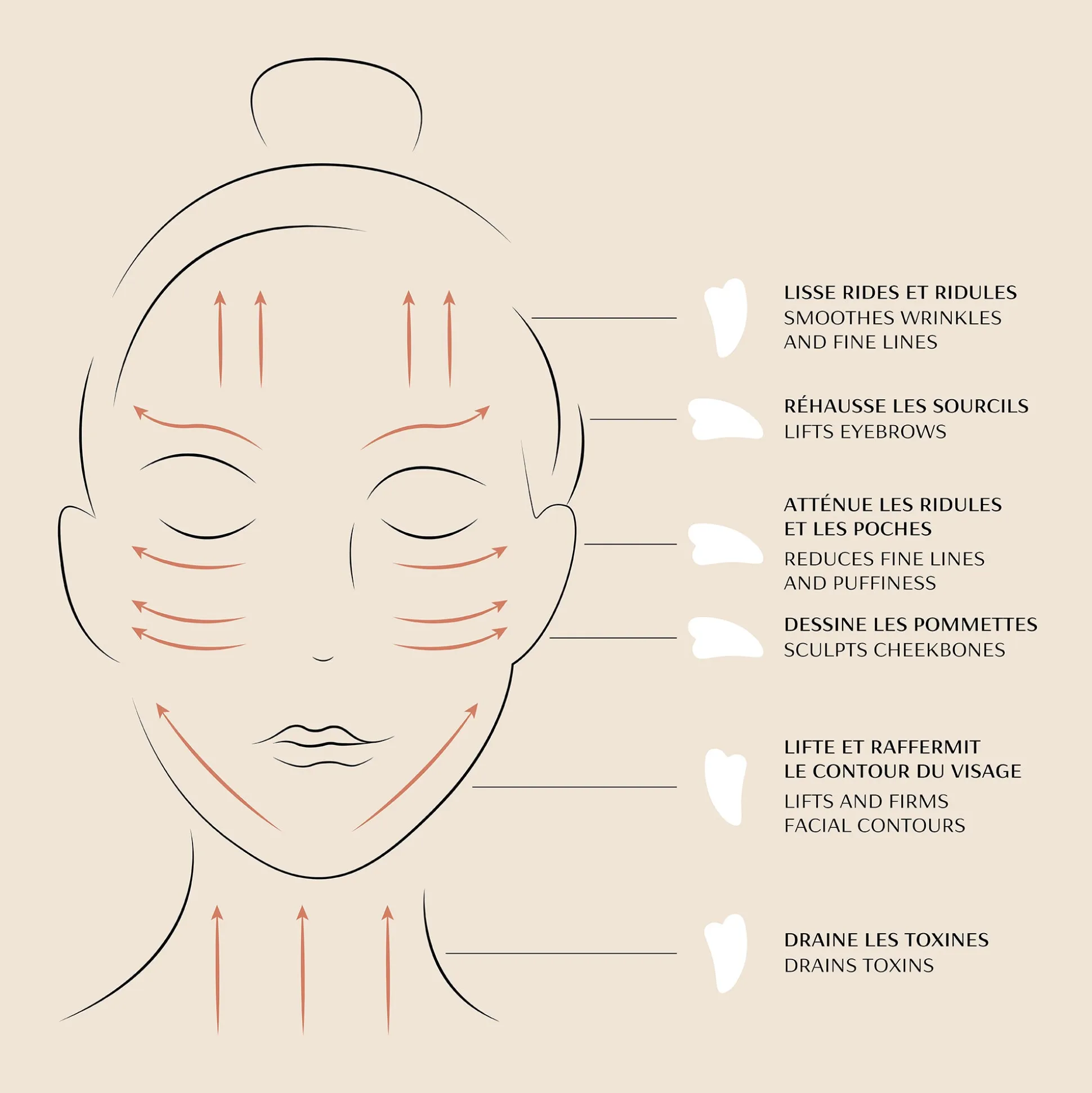 Gua Sha Visage