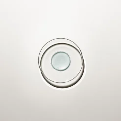 Supersérum Fermeté