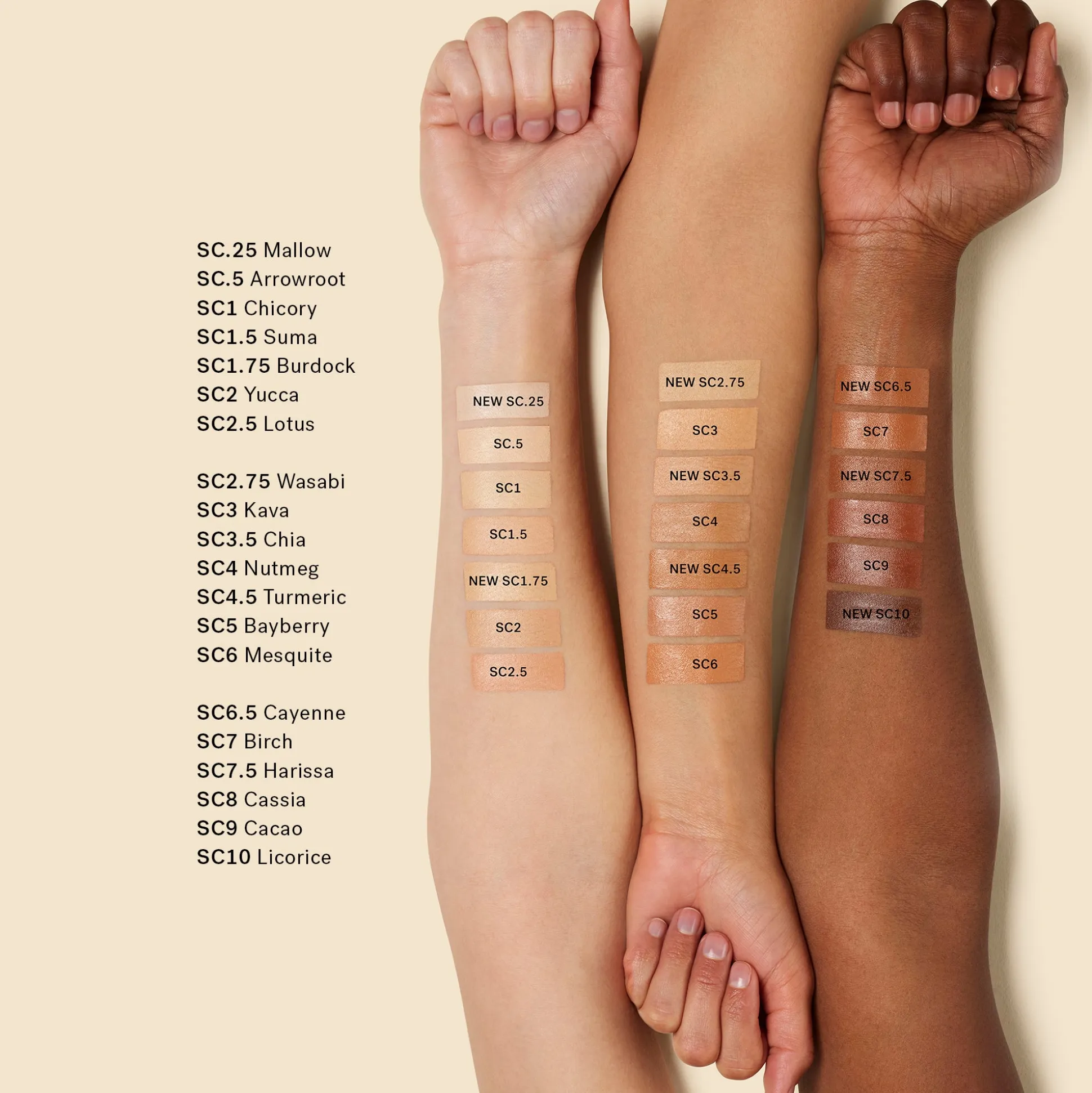 True Skin Serum Concealer Correcteur de Teint